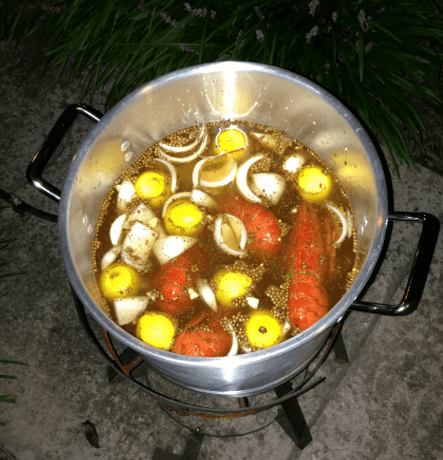 Lobster cooking in pot